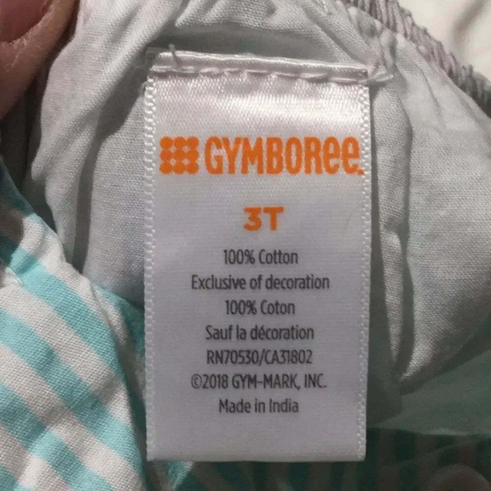 Gymboree 3t seashell